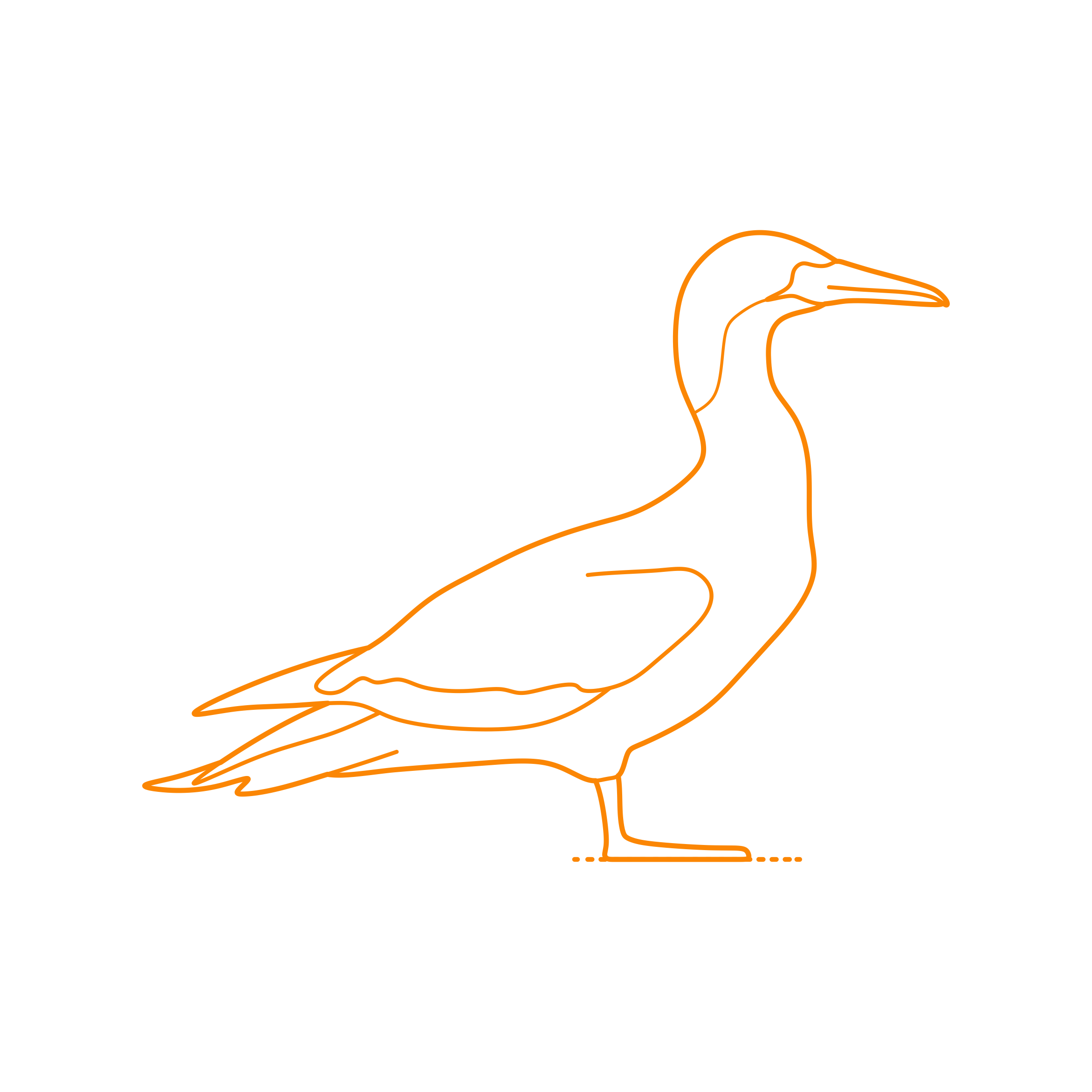 Animals Seabirds Northern Gannet Simple Line Art Svg Free Vectors